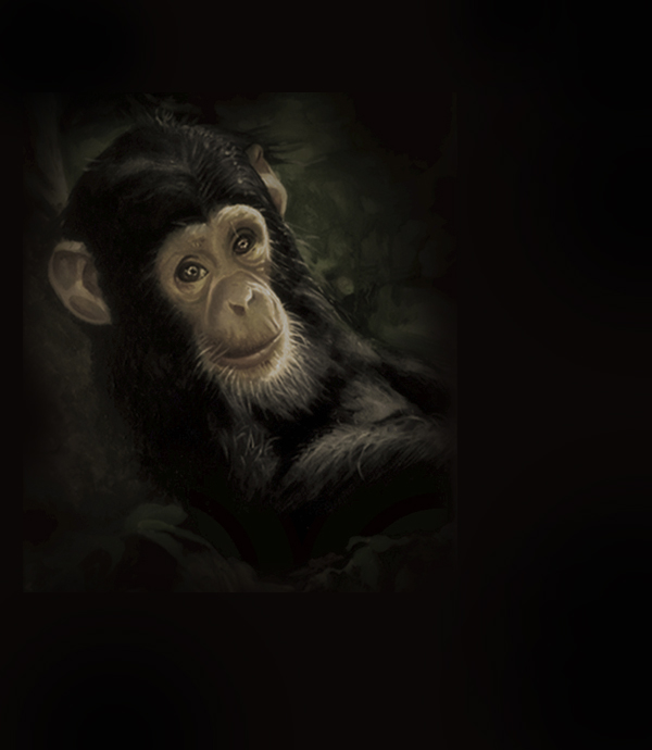 Portfolio Image